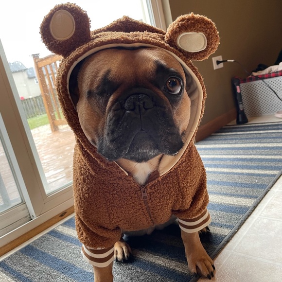 Meet your Posher, Elise - Picture 1 of 1